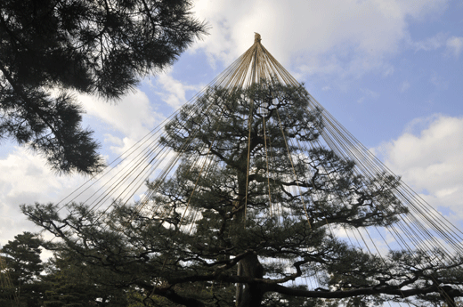 c0093046_12171739.gif
