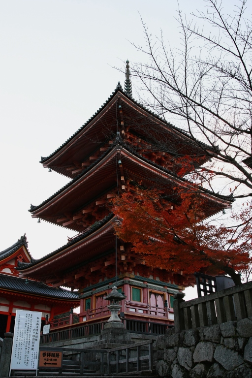 f0049152_838409.jpg