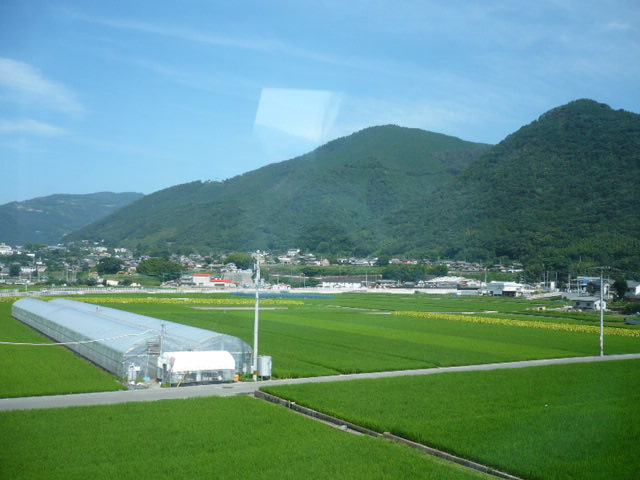 f0193752_53247.jpg