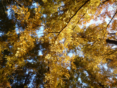 b0045357_8281555.jpg
