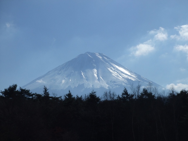 b0070657_15451277.jpg