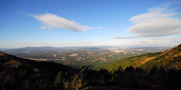 e0035757_1723672.jpg