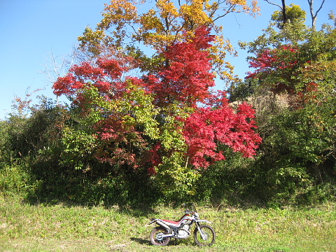 e0152357_0472968.jpg