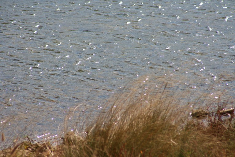 f0106759_11155589.jpg