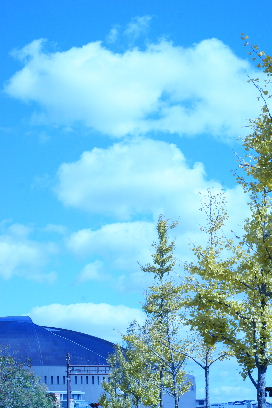 e0165574_16202184.jpg