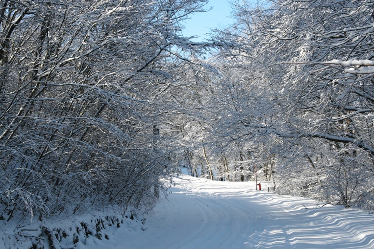 いつもより早い雪_f0180878_167575.jpg