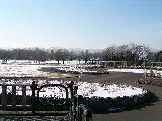f0078286_8483815.jpg