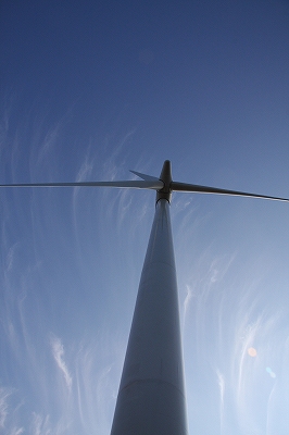 f0140087_78467.jpg