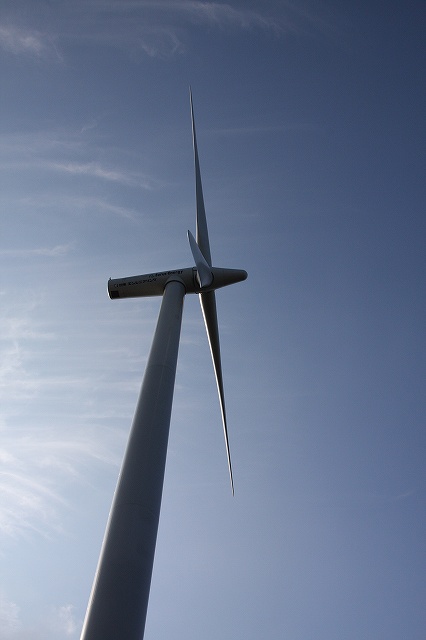 f0140087_79988.jpg