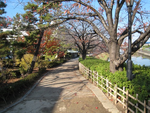 f0189895_2015267.jpg