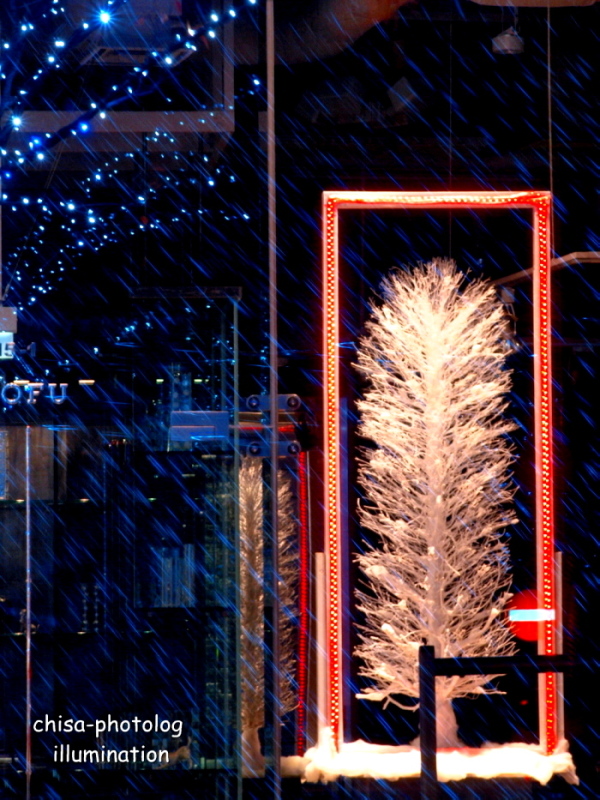 c0158998_2372662.jpg