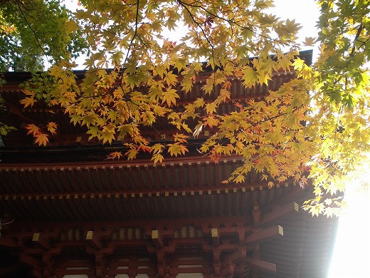 c0124100_15401052.jpg