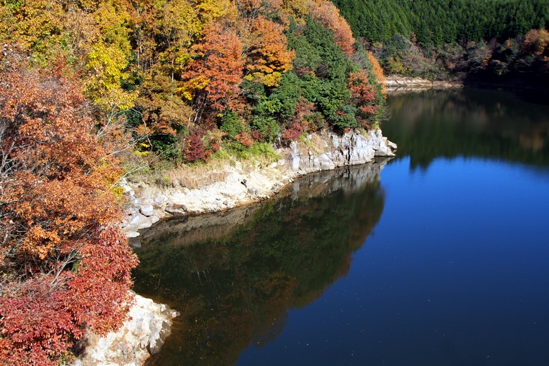 c0043403_028765.jpg