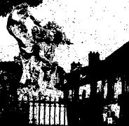 f0028703_1844039.jpg