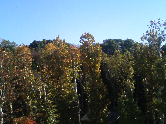 a0088007_050147.jpg