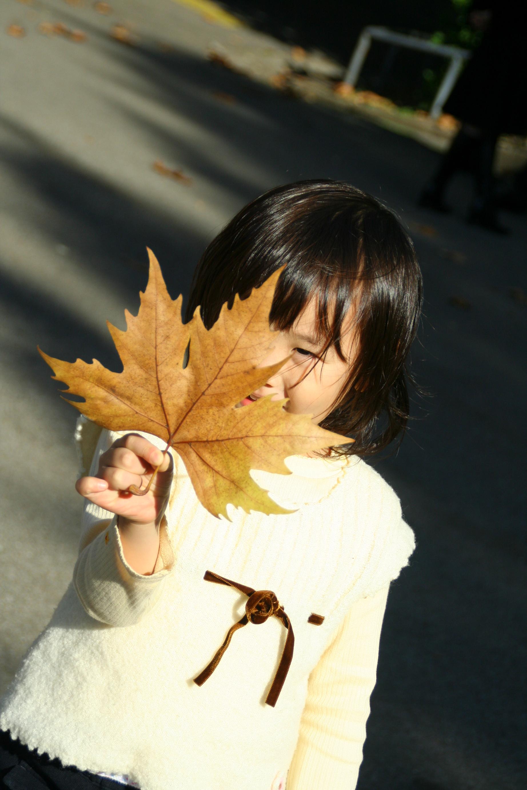 紅葉のはずが・・・。_d0149517_2162086.jpg