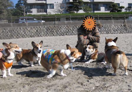 逗子海岸にコギ集合~_f0155118_12594089.jpg