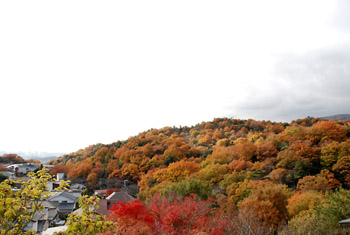 e0103024_1041197.jpg
