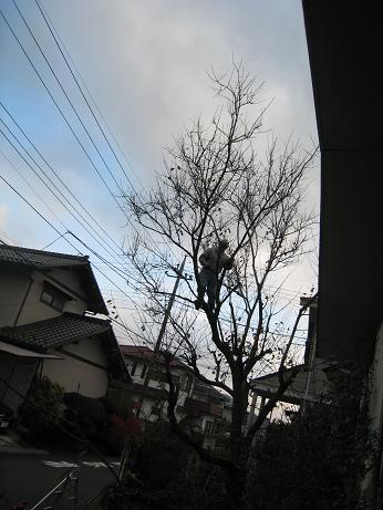 f0166824_184918.jpg