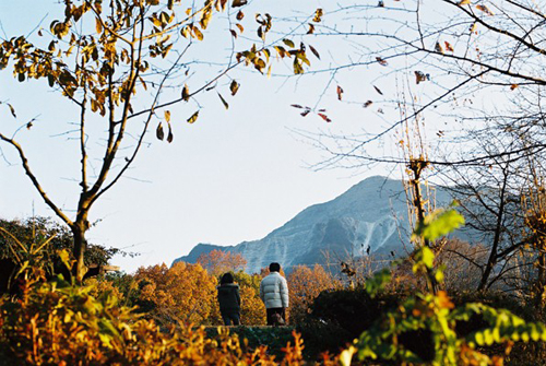 After all. . ._d0108333_1195465.jpg