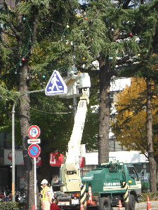 a0054240_21493575.jpg