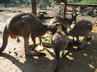 f0065341_037581.jpg