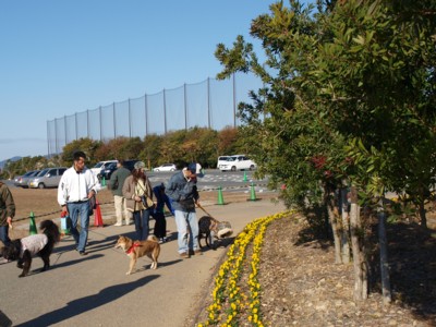 c0119142_2039551.jpg