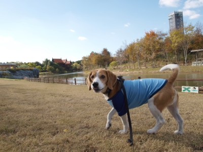 c0119142_2104148.jpg