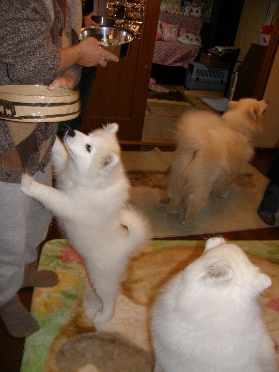 正解は↓_f0128542_018254.jpg