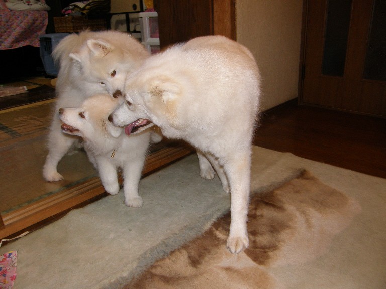 正解は↓_f0128542_0212210.jpg