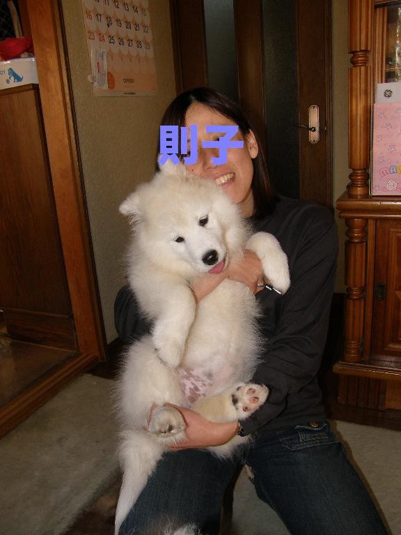 正解は↓_f0128542_0273780.jpg