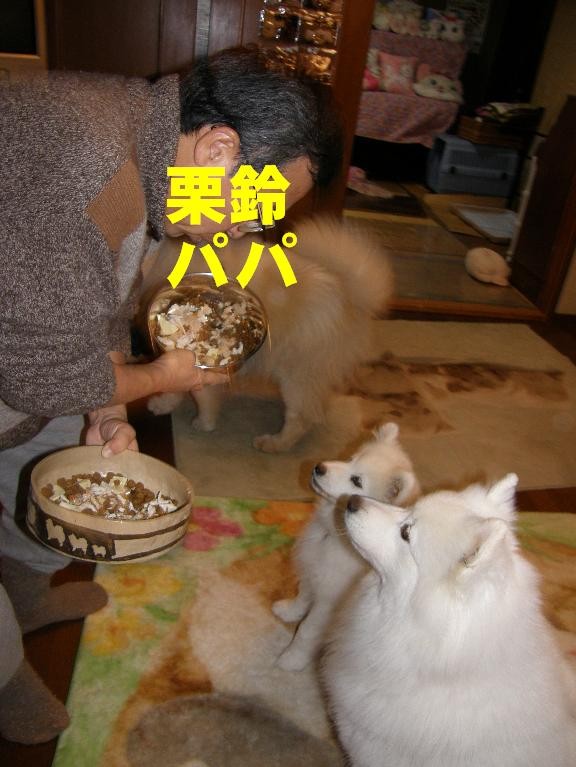 正解は↓_f0128542_0294951.jpg