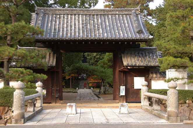 曹源寺　_c0126344_1949866.jpg