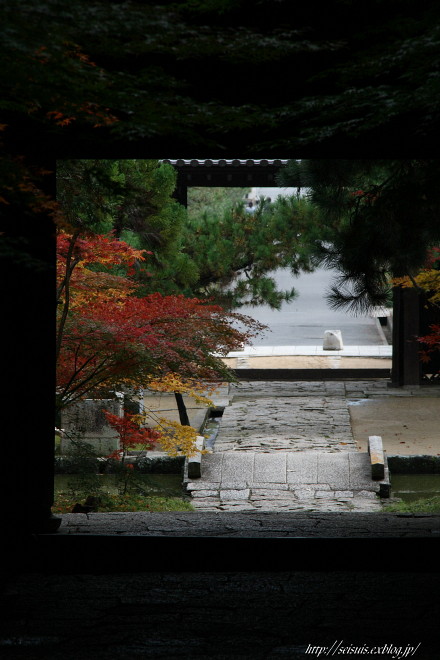 曹源寺　_c0126344_200634.jpg