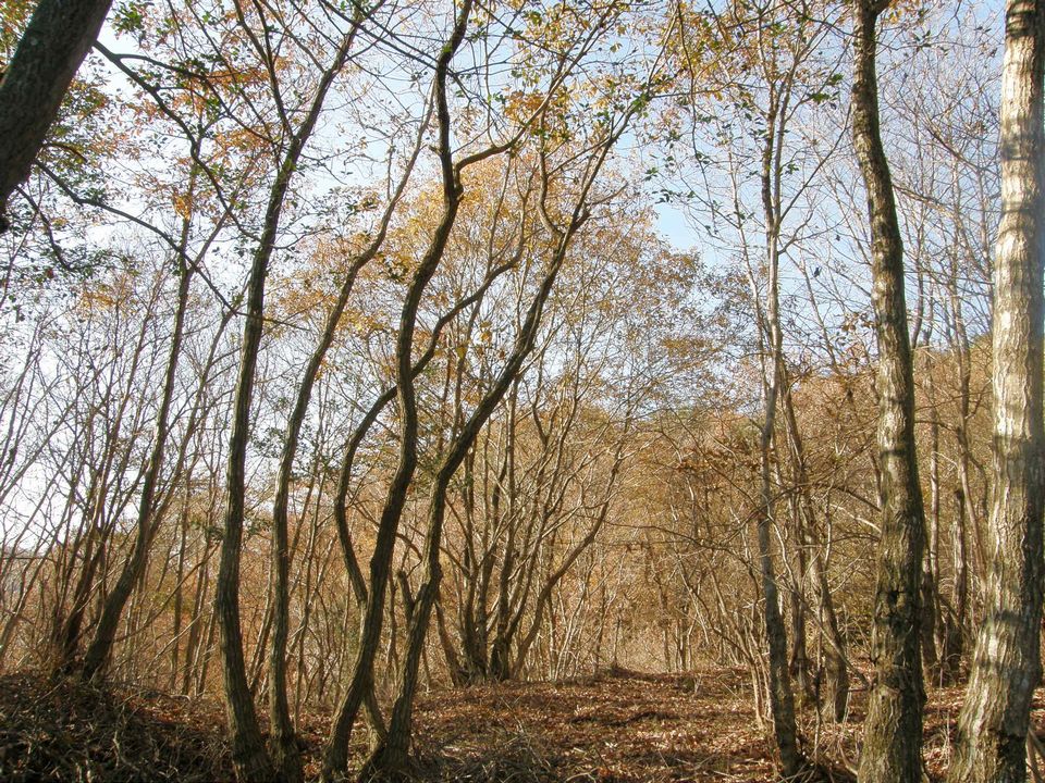 f0090444_21134438.jpg