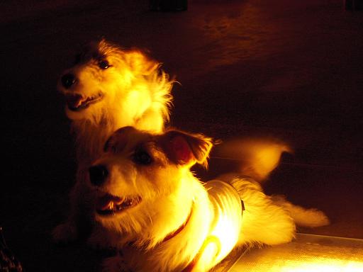c0156345_05842.jpg