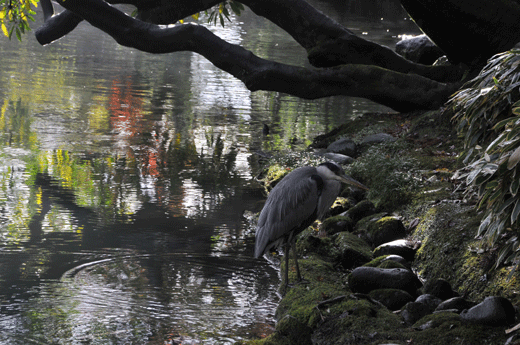 c0093046_7405954.gif