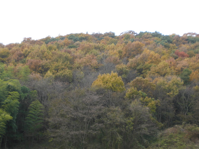 b0152548_1720263.jpg