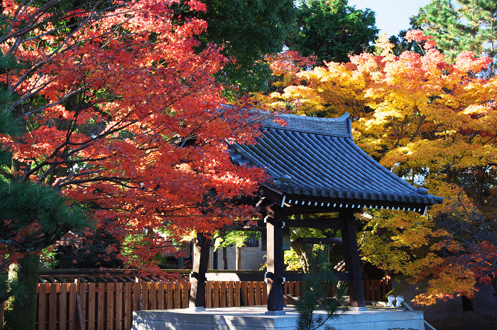 小野小町を偲ぶ秋（隨心院）_f0155048_2245228.jpg