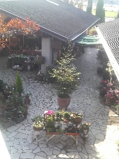 e0156650_1413149.jpg