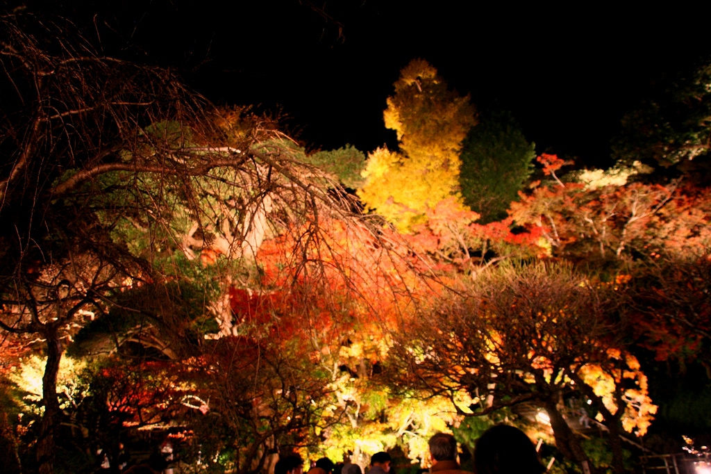 f0136656_2326167.jpg