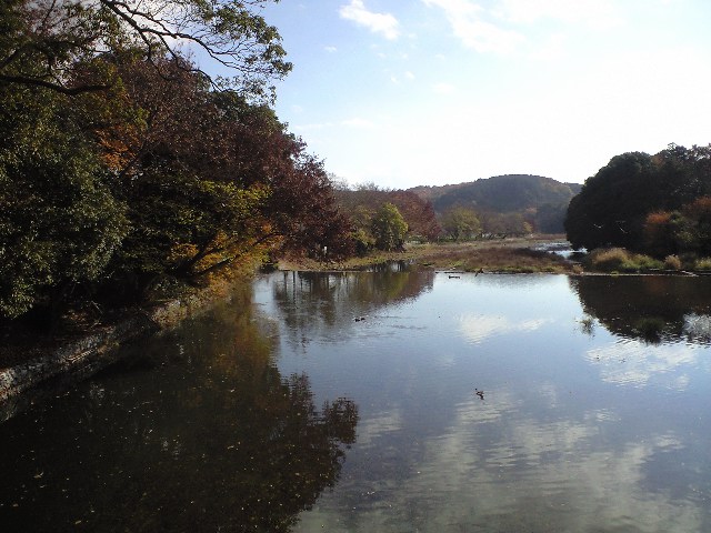 b0159561_13134486.jpg