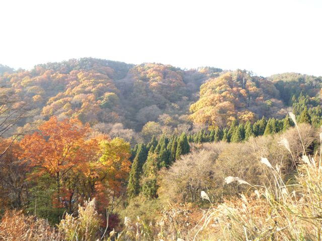 b0129962_1742577.jpg