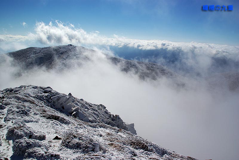 f0173067_1014299.jpg