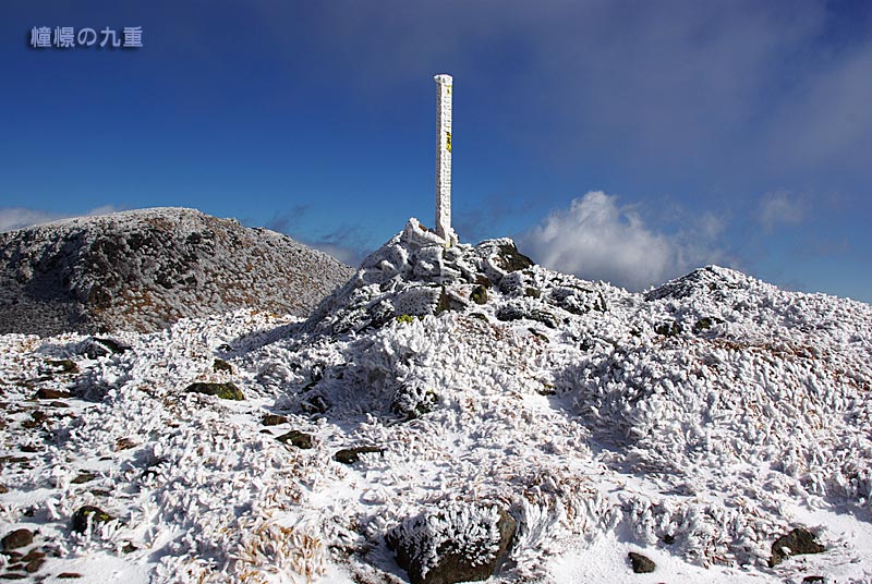 f0173067_10353999.jpg