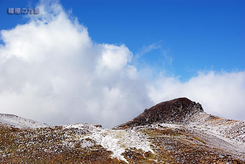 f0173067_10452631.jpg