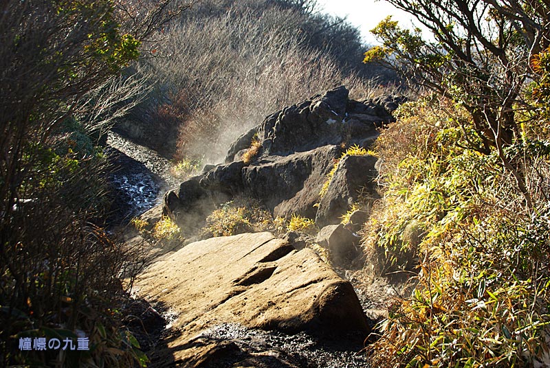 f0173067_11165321.jpg