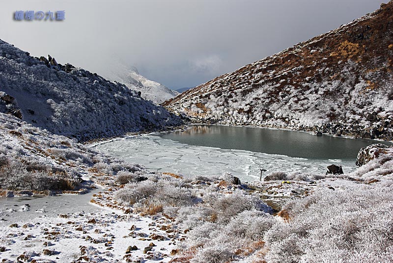 f0173067_1155049.jpg