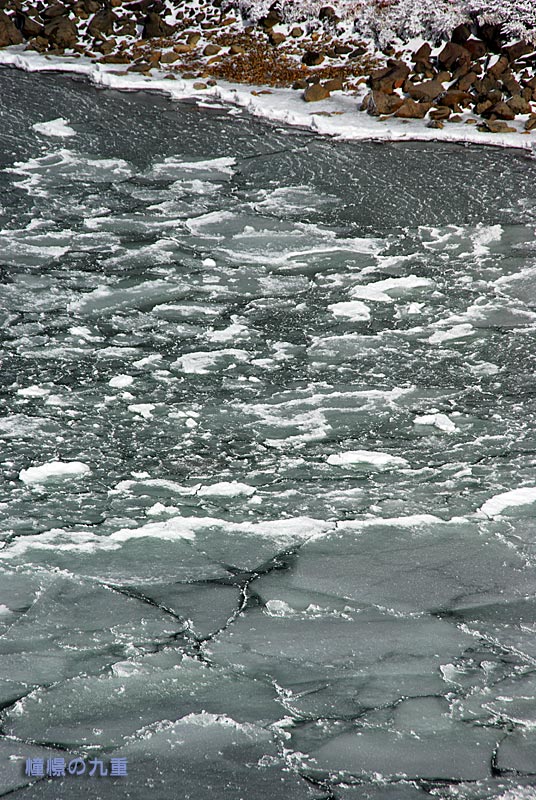 f0173067_1162564.jpg