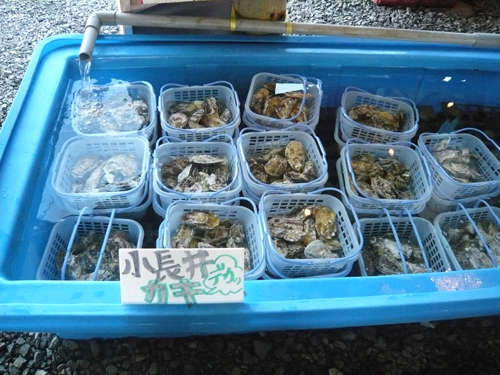 f0142768_1281150.jpg